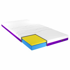 iCare IC280 Homecare Bed