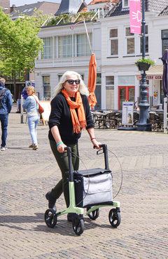 Rollz Motion Air Walker